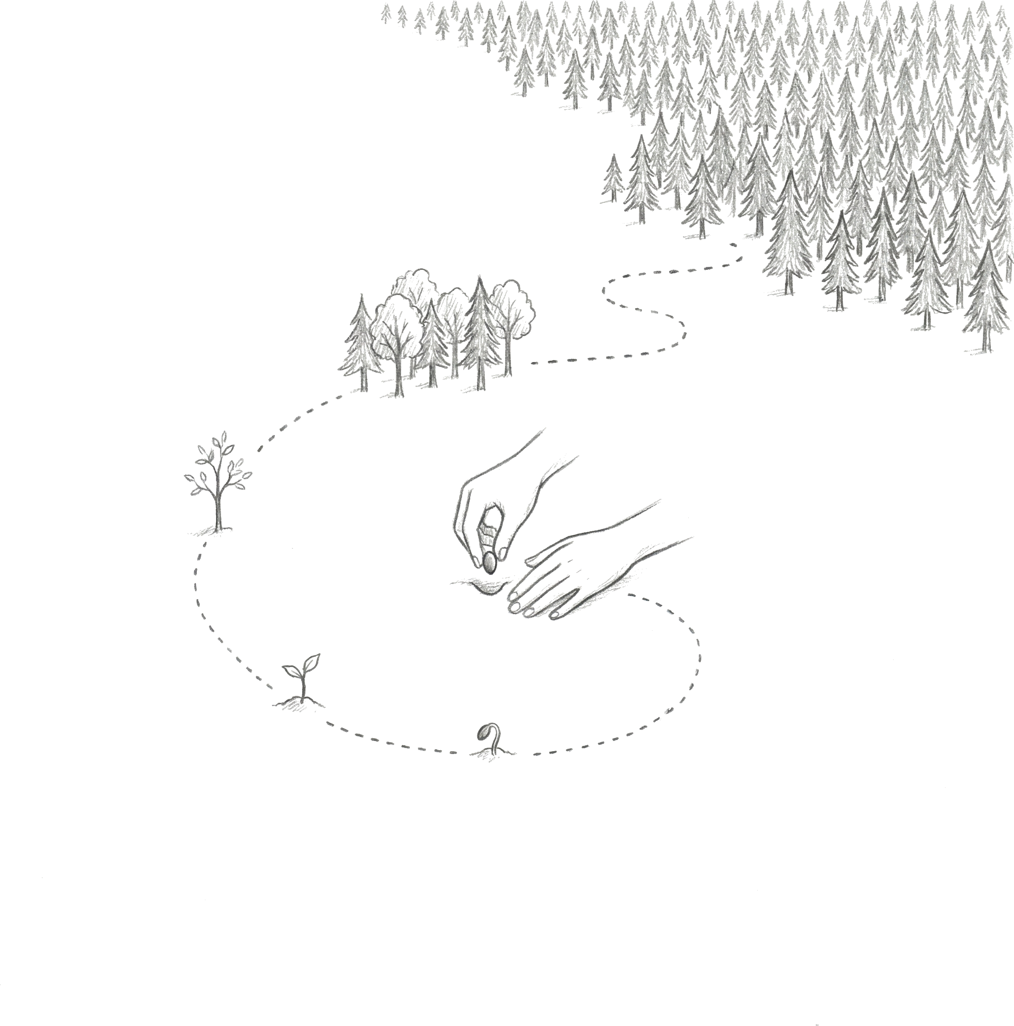 씨앗을 심는 손과 자라나는 숲